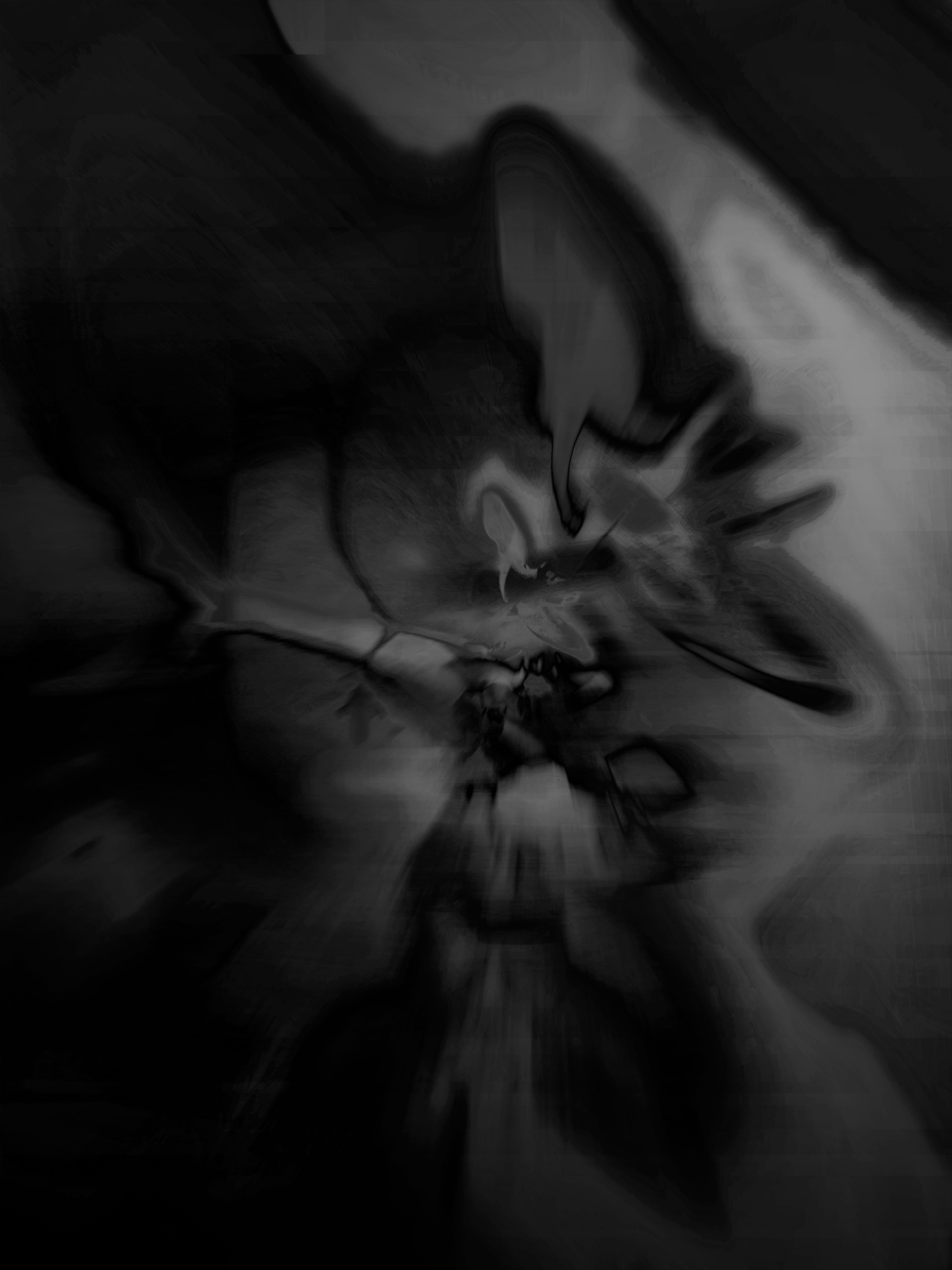 MATTHEW SWARTS - PROJECTS ORCHIDGRADIENT1A3D1TTY1A 1 SCALED MATTHEW SWARTS ABSTRACT BLACK AND WHITE IMAGE WITH SWIRLING, SMOKY PATTERNS AND BLURRED SHAPES EVOKES MOTION AND DEPTH—A CONTEMPORARY VISUAL COMPOSITION WHERE LIGHT STREAKS AND SHADOWY AREAS MERGE IN DYNAMIC PHOTOGRAPHY.
