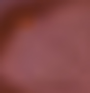 19740137