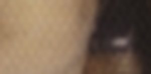 19740188