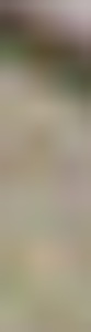 19740290