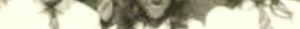 19740584