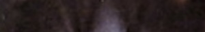19740833
