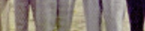 19741061