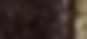 19741267
