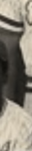 19741540