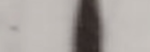 19742248
