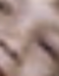 19742378