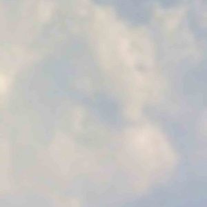 MATTHEW SWARTS, UNTITLED, 2011