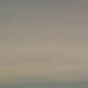 MATTHEW SWARTS, UNTITLED, 2011