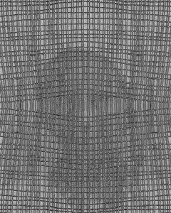 MATTHEW SWARTS A BLACK AND WHITE TEXTURED PATTERN BY MATTHEW SWARTS, FEATURING IRREGULAR GRID LINES THAT FORM SMALL SQUARES, CREATES A CONTEMPORARY, WAVY EFFECT APPEARING SYMMETRICAL ALONG THE VERTICAL AXIS—A STRIKING PIECE OF MODERN ART.