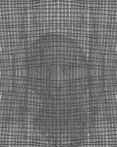 MATTHEW SWARTS PROJECTS 141