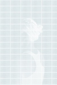 MATTHEW SWARTS A TRANSLUCENT, STYLIZED PORTRAIT OF A PERSONS HEAD AND SHOULDERS EMERGES FROM A GRID PATTERN. THE IMAGE IS LIGHT BLUE AND WHITE.