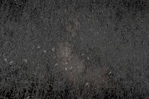 MATTHEW SWARTS A PERSON PARTIALLY OBSCURED BEHIND A DENSE, INTRICATE WEB OF GRAY, WIRY MATERIAL, CREATING A TEXTURED, TANGLED VISUAL BARRIER BETWEEN THE VIEWER AND THE FIGURE IN THIS STRIKING PIECE OF CONTEMPORARY ART.