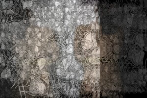 MATTHEW SWARTS PROJECTS IMG 352511