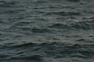 MATTHEW SWARTS DARK, RIPPLING OCEAN WATER WITH SMALL WAVES AND TEXTURED SURFACE, REFLECTING SUBTLE LIGHT. NO VISIBLE SHORELINE, SKY, OR OBJECTS—JUST THE UNDULATING SURFACE OF THE SEA.