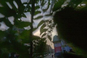 MATTHEW SWARTS BLURRY CITY STREET SCENE AT SUNSET IN OSLO, VIEWED THROUGH LARGE GREEN LEAVES IN THE FOREGROUND. BUILDINGS, CARS, AND PEOPLE ARE VISIBLE IN THE BACKGROUND, PARTIALLY OBSCURED BY FOLIAGE—A MOMENT OF URBAN ART INSPIRED BY MATTHEW SWARTS.