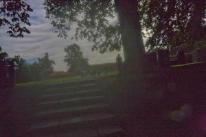 MATTHEW SWARTS A DIMLY LIT OUTDOOR SCENE IN OSLO SHOWS STONE STEPS LEADING UP TO A GRASSY AREA WITH TREES. A PERSON STANDS IN THE BACKGROUND NEAR A LARGE TREE, PARTIALLY SILHOUETTED AGAINST THE SKY.