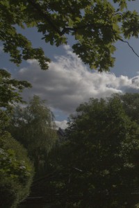 MATTHEW SWARTS GREEN TREES WITH DENSE FOLIAGE FRAME THE IMAGE, WHILE A PARTLY CLOUDY SKY WITH PATCHES OF BLUE IS VISIBLE ABOVE. THE EDGE OF A HOUSE ROOF PEEKS THROUGH THE TREES, EVOKING THE SERENE LANDSCAPES FOUND IN NORWAY OR DENMARK.