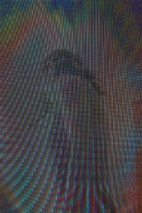 MATTHEW SWARTS  C2014 DSC2114G4