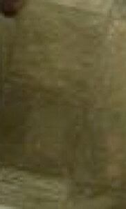 MATTHEW SWARTS A CLOSE-UP, BLURRY IMAGE SHOWING A BEIGE AND GREENISH TEXTURED SURFACE WITH RECTANGULAR AND SQUARE SHAPES, POSSIBLY A TILED FLOOR OR A PATTERNED FABRIC. THE DETAILS ARE INDISTINCT DUE TO THE LOW RESOLUTION.