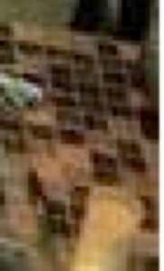 MATTHEW SWARTS A BLURRY, PIXELATED CLOSE-UP IMAGE SHOWING A BROWNISH SURFACE WITH BLACK RECTANGULAR SHAPES ARRANGED IN A GRID PATTERN. THE DETAILS ARE INDISTINCT DUE TO LOW IMAGE QUALITY.