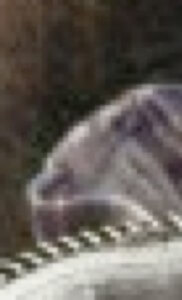 MATTHEW SWARTS A CLOSE-UP, BLURRY IMAGE SHOWING PART OF AN OBJECT WITH A METALLIC, SERRATED EDGE AND A PURPLE, REFLECTIVE SURFACE IN THE BACKGROUND. THE DETAILS ARE UNCLEAR DUE TO HEAVY PIXELATION.