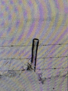 MATTHEW SWARTS A BLURRY IMAGE SHOWS A FENCE POST WITH A U-SHAPED TOP, POSSIBLY AN ELECTRIC FENCE INSULATOR, ON A SNOWY DAY.