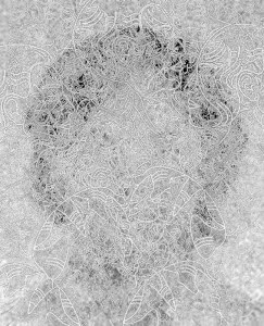 MATTHEW SWARTS INTRICATE WHITE LACE PATTERNS FORM A CIRCULAR DESIGN OVER A GRAYSCALE, SLIGHTLY OBSCURED BACKGROUND, CREATING A DELICATE, TEXTURED, AND SOMEWHAT ABSTRACT ART EFFECT REMINISCENT OF ANIMATION.