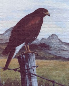 MATTHEW SWARTS A LARGE BROWN HAWK IS PERCHED ON A WOODEN FENCE POST WITH BARBED WIRE, OVERLOOKING A GRASSY FIELD AND DISTANT MOUNTAINS UNDER A PARTLY CLOUDY SKY, EVOKING THE FEEL OF A STUNNING DIGITAL DOCUMENTARY STILL.