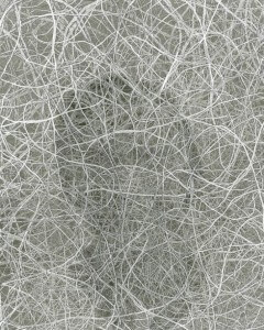 MATTHEW SWARTS A CLOSE-UP VIEW OF TANGLED, THIN WHITE FIBERS OVERLAPPING IN VARIOUS DIRECTIONS CREATES A DENSE, CHAOTIC WEB-LIKE PATTERN ON A GRAY BACKGROUND, EVOKING CONTEMPORARY ART.