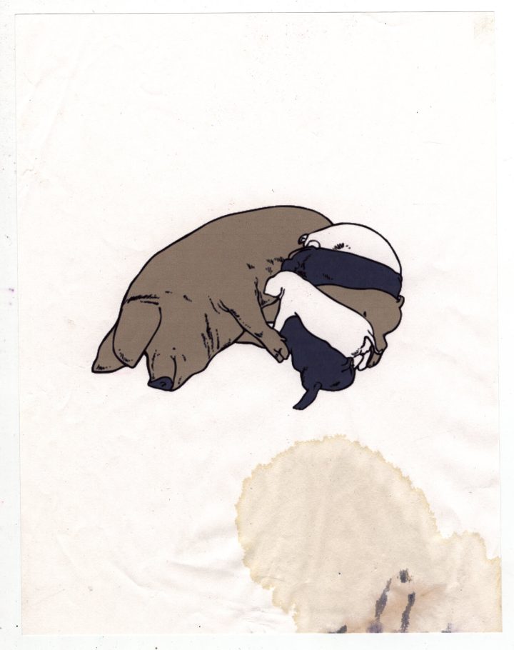 MATTHEW SWARTS UNTITLED (2004) PIG W PIGLETS1