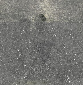 MATTHEW SWARTS PROJECTS UNTITLED 2006