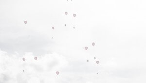 MATTHEW SWARTS  IMG 2172KL