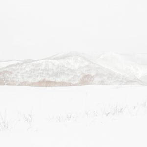 MATTHEW SWARTS WHITEWHITEWHITE 021