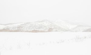MATTHEW SWARTS  WHITEWHITEWHITE 022