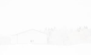 MATTHEW SWARTS  WHITEWHITEWHITE 15