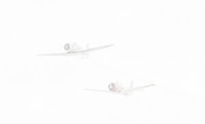 MATTHEW SWARTS  WHITEWHITEWHITE 321