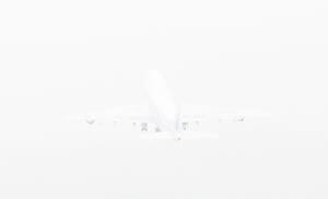 MATTHEW SWARTS  WHITEWHITEWHITE 531
