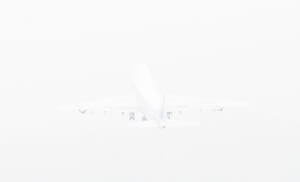 MATTHEW SWARTS  WHITEWHITEWHITE 532