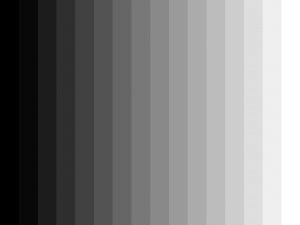 MATTHEW SWARTS A HORIZONTAL GRADIENT SCALE WITH VERTICAL BARS TRANSITIONING SMOOTHLY FROM SOLID BLACK ON THE LEFT TO SOLID WHITE ON THE RIGHT, PASSING THROUGH VARIOUS SHADES OF GRAY.
