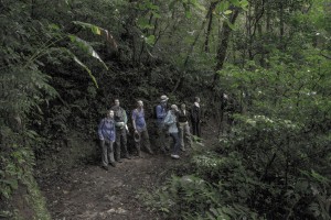 MATTHEW SWARTS MONTEVERDE MG 0314