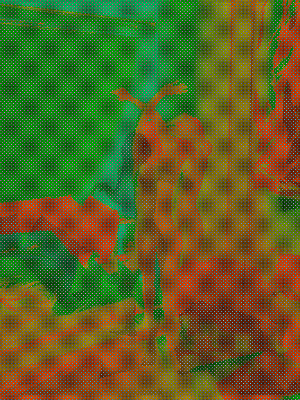 MATTHEW SWARTS THE ALTERNATIVES 2MATTHEWSWARTSFORLIGHTWORKIMG 5692 1G30X40