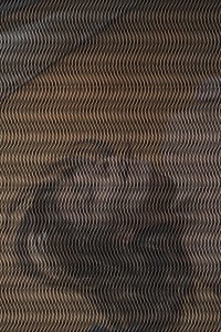MATTHEW SWARTS THE ALTERNATIVES MG 0107C