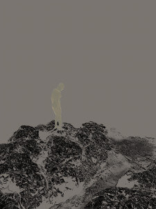 MATTHEW SWARTS THE ALTERNATIVES UNTITLED 2014 FROM THE SERIES THE ALTERNATIVES