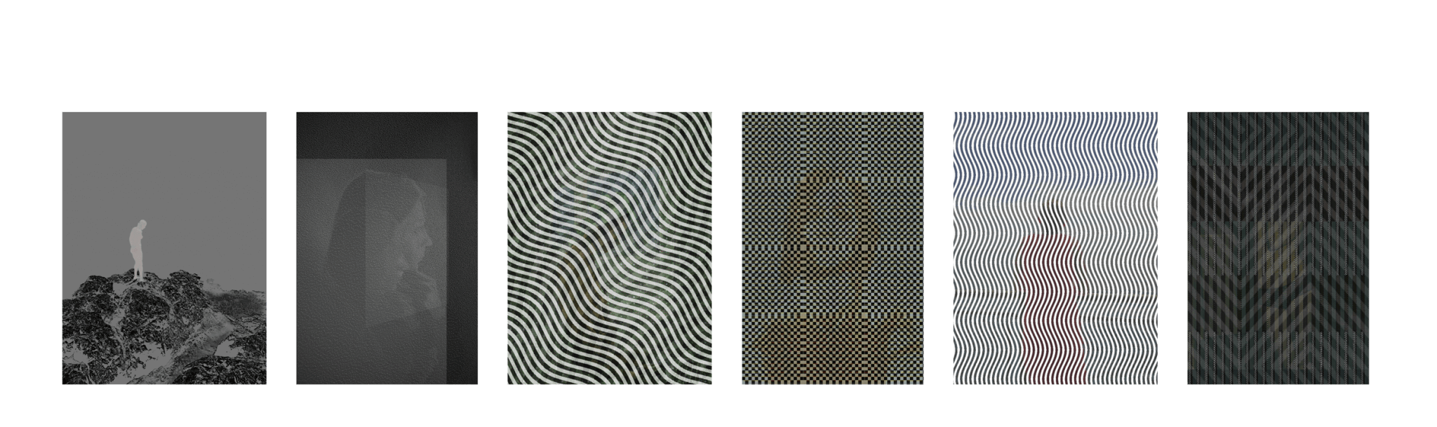 MATTHEW SWARTS Six rectangular panels showcase VISUAL ART: the first displays a figure on foliage, the second a faint silhouette, while the others feature wavy or geometric black-and-white patterns by an experimental PHOTOGRAPHER.
