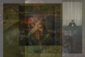 MATTHEW SWARTS  TRAINWRECK161