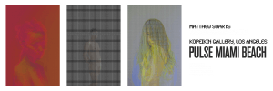 MATTHEW SWARTS  MATTHEWSWARTSPULSEMIAMI2015