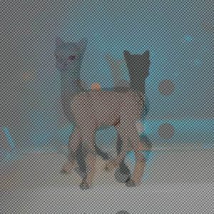 MATTHEW SWARTS DSC1041D2