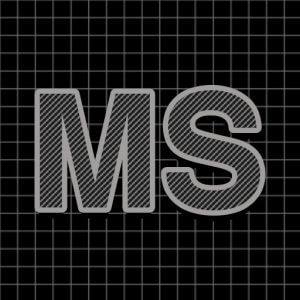 MATTHEW SWARTS  MS1