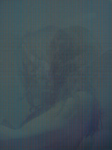 MATTHEW SWARTS  IMG 4246G4